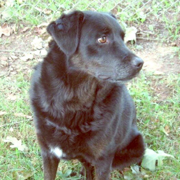 Meet your Posher, Tina - Picture 2 of 7